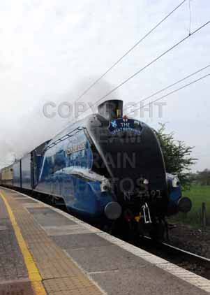 Purchase photo of 4492 DOMINION OF NEW ZEALAND (BITTERN) at Brookmans Park